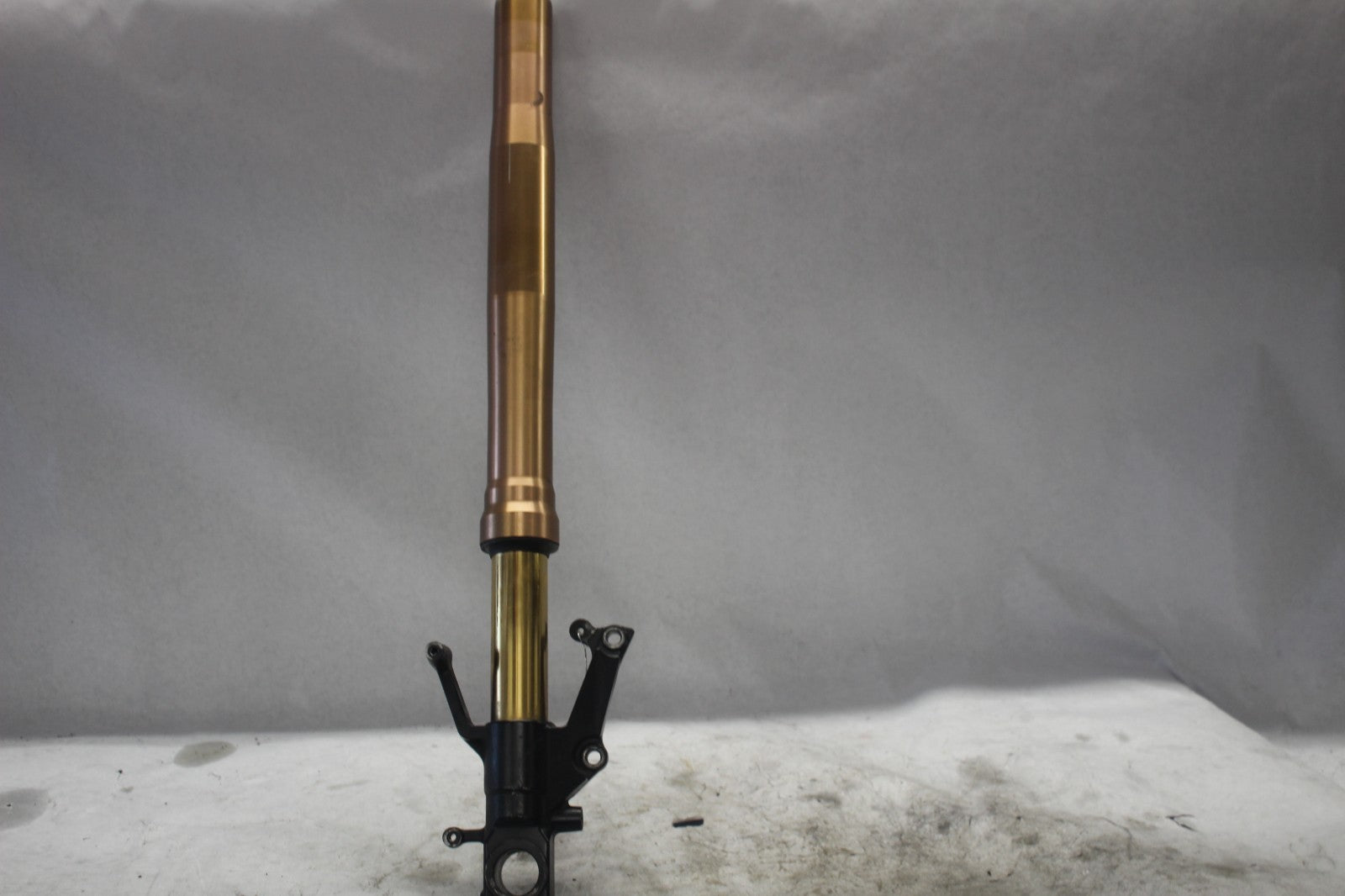 eaf84bba-2cb4-4d6a-8a66-e05a621c4368