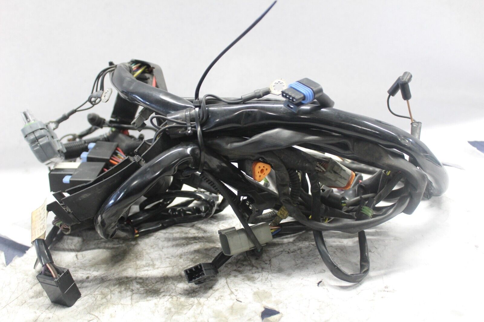 MAIN WIRING HARNESS 70431-04 2005 HD SOFTAIL DELUXE FLSTNI