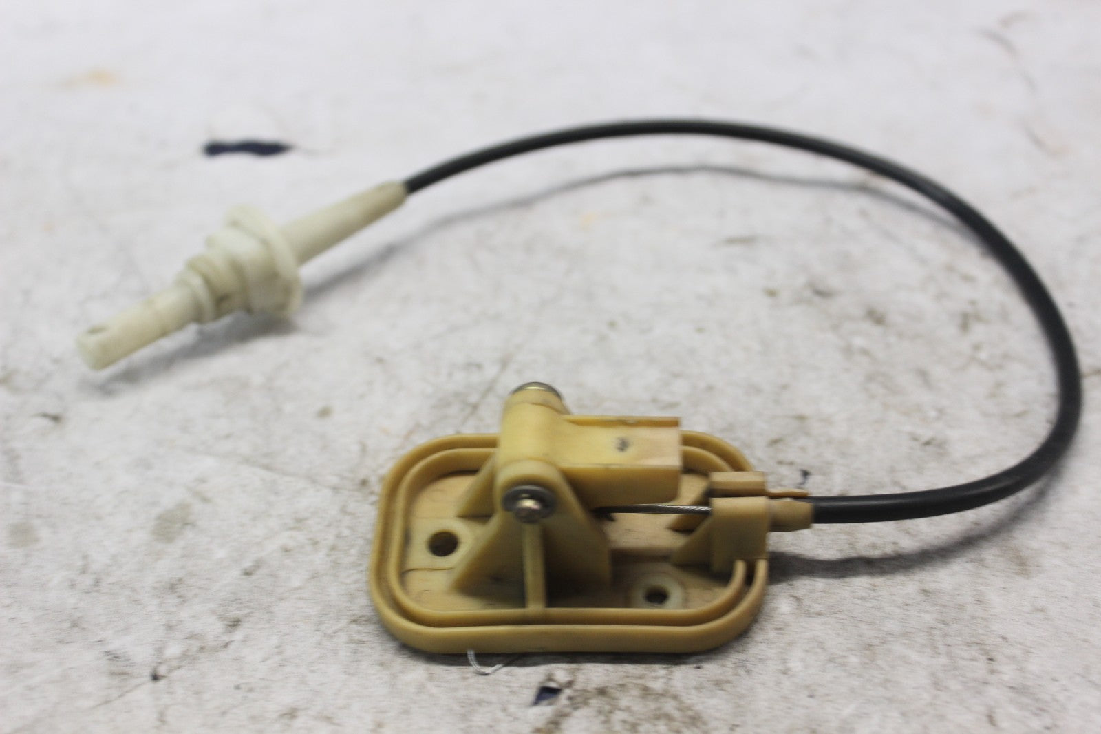 07b4e537-b15b-490e-8291-32068901e41f