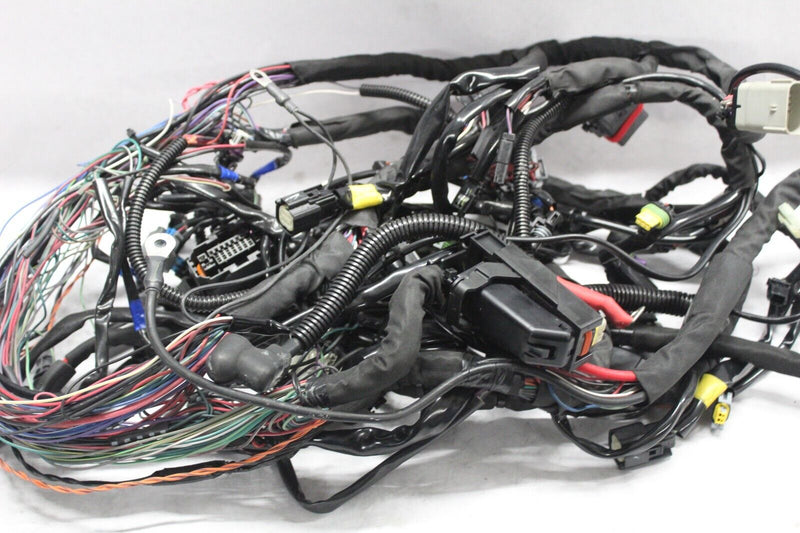 MAIN WIRING HARNESS (COMPLETE) 69202230 2022 RG SPECIAL