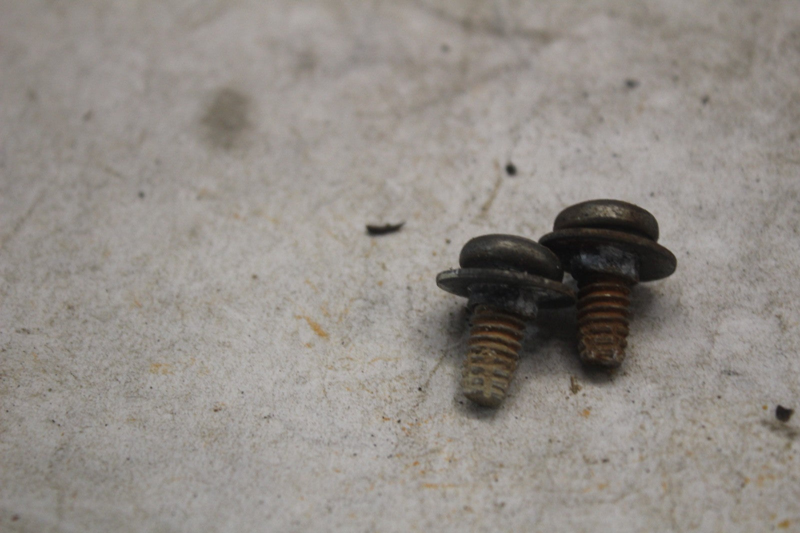 3d70a851-1a78-4f6d-a853-5651ca3e2493