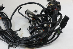 OEM Harley Davidson Main Wiring Harness 2005 Road King Blk/Red 70245-04