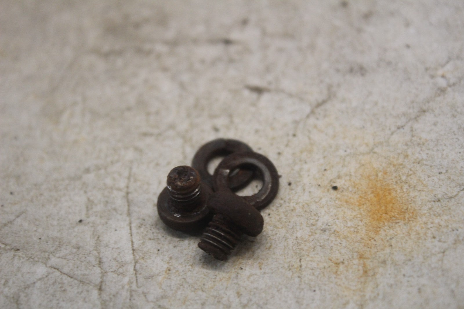 95e887d1-1be9-40ec-aa00-2d41e1591ffa