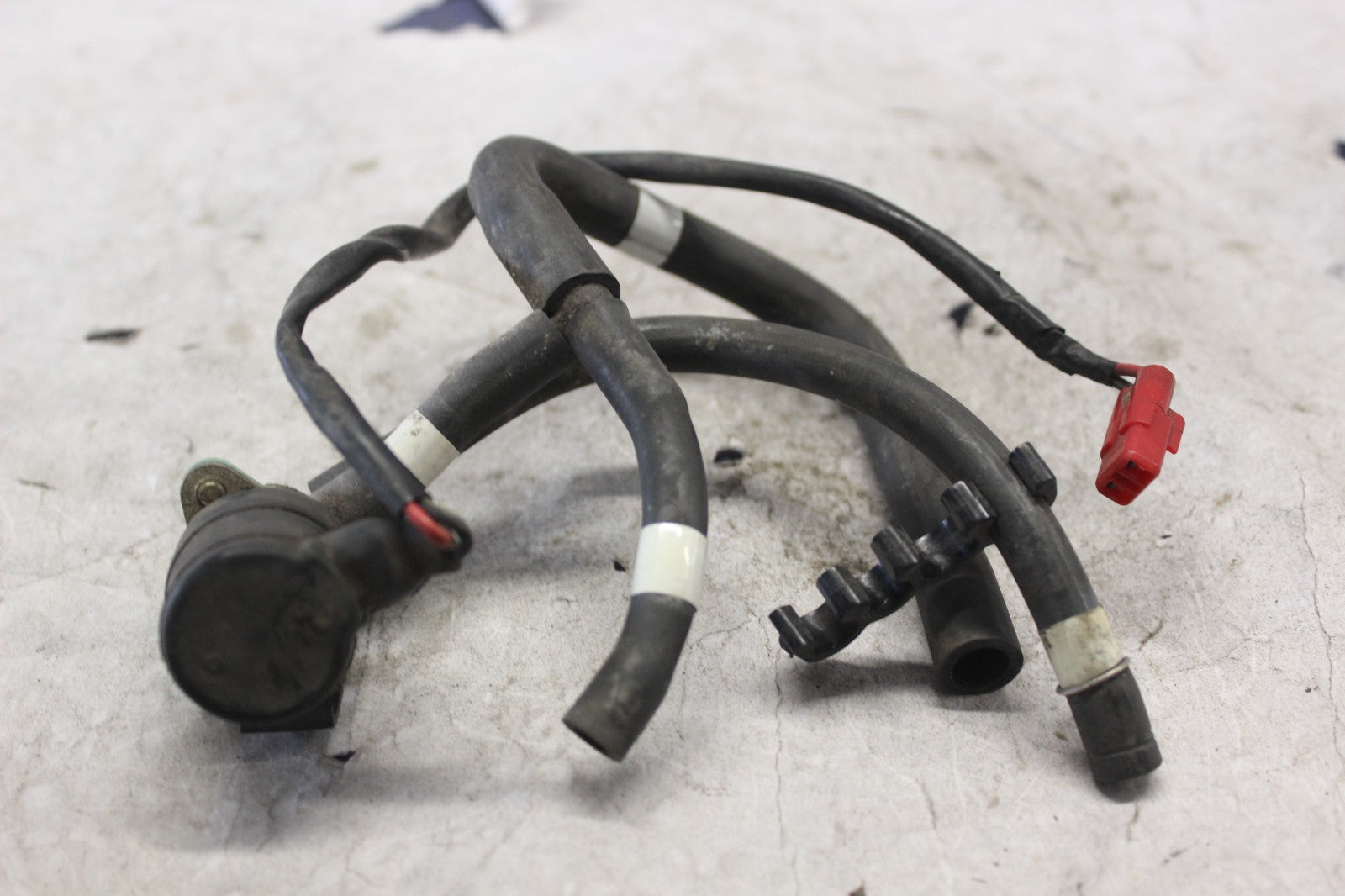 008d85cf-8737-4090-92c8-cf6a79eb8b94