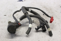 008d85cf-8737-4090-92c8-cf6a79eb8b94