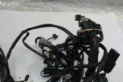 OEM Harley Davidson Main Wiring Harness 2005 Road King Blk/Red 70245-04
