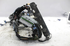 MAIN WIRING HARNESS 70431-04 2005 HD SOFTAIL DELUXE FLSTNI