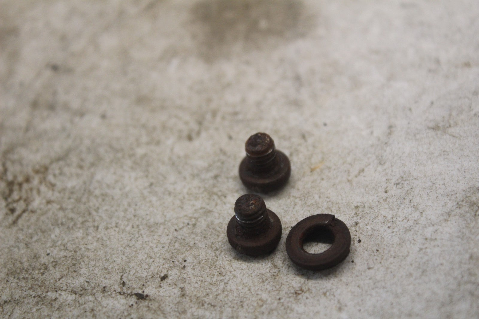 72a54fca-c9ed-4515-b384-8666b5a8005b