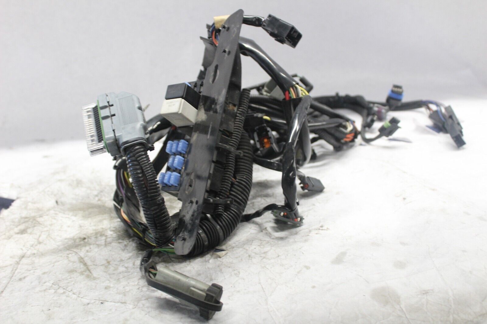 MAIN WIRING HARNESS 70431-04 2005 HD SOFTAIL DELUXE FLSTNI