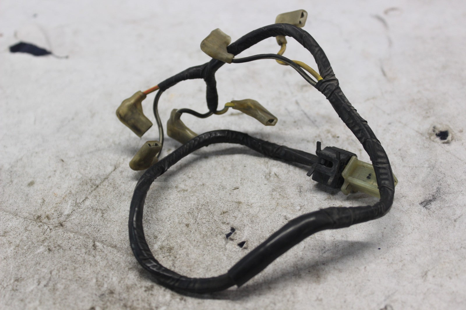 e1cd84a8-1451-46f4-af65-edcf2d542228