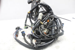 MAIN WIRING HARNESS 70431-04 2005 HD SOFTAIL DELUXE FLSTNI