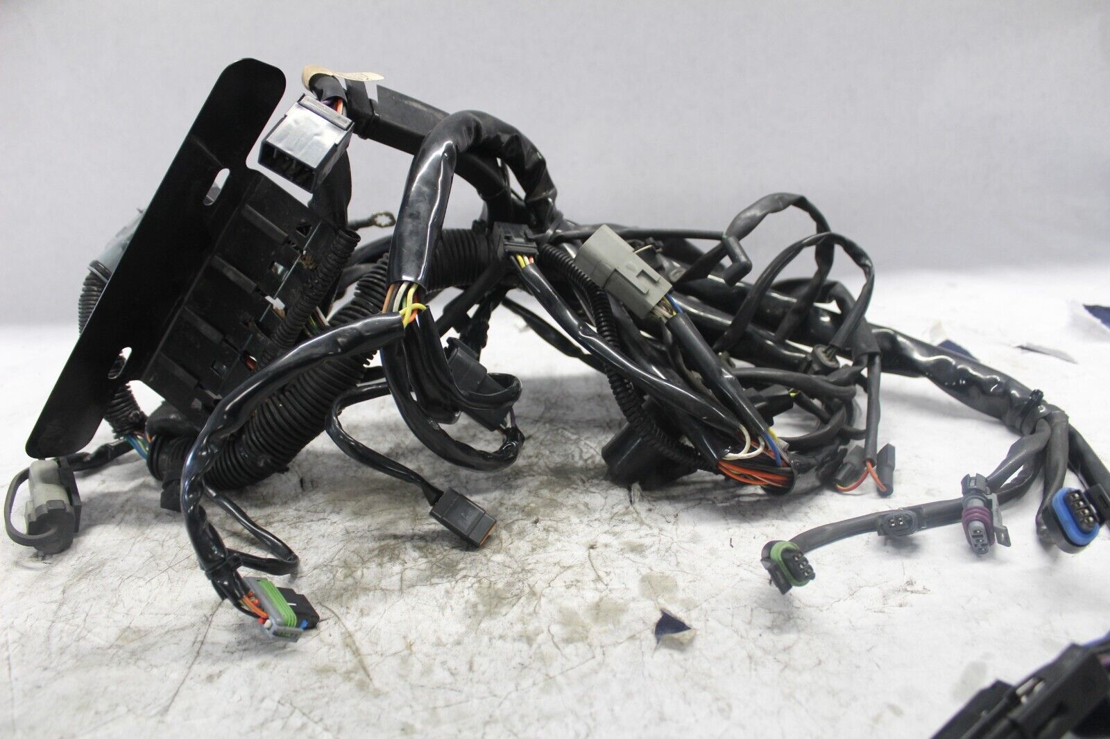 MAIN WIRING HARNESS 70431-04 2005 HD SOFTAIL DELUXE FLSTNI