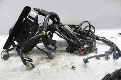 MAIN WIRING HARNESS 70431-04 2005 HD SOFTAIL DELUXE FLSTNI
