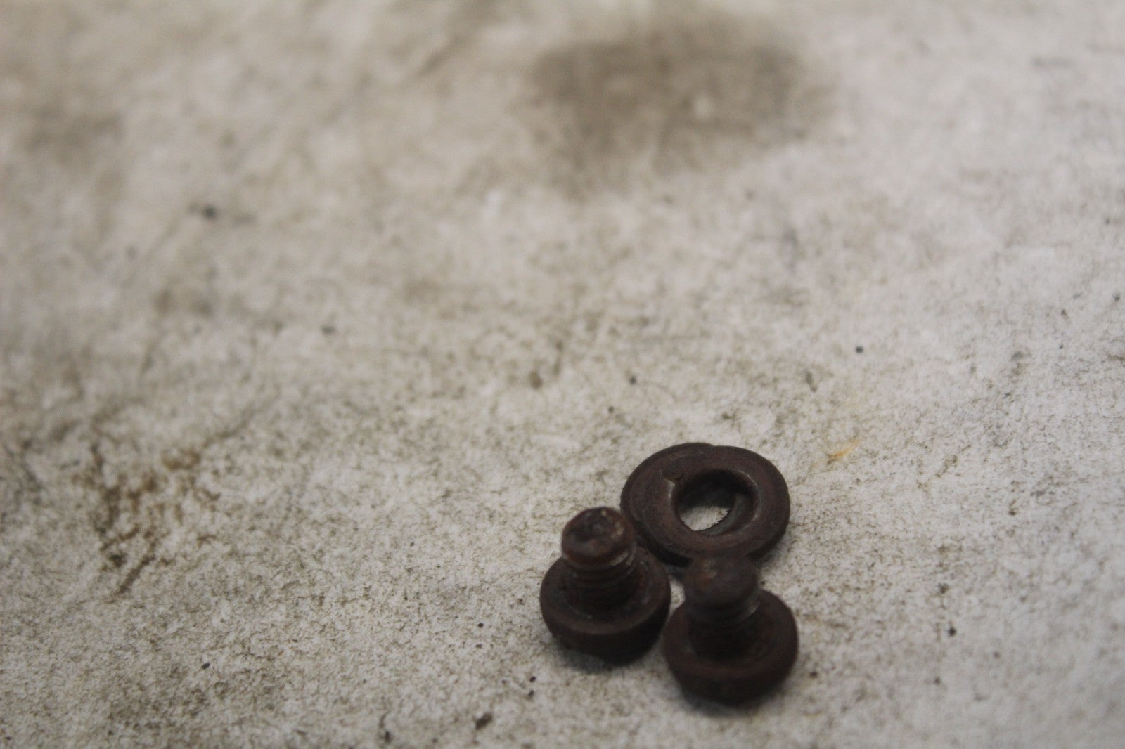 731fcb23-9102-4fea-847f-a3b5e60b4fdc