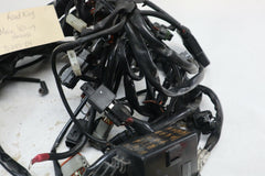 OEM Harley Davidson Main Wiring Harness 2005 Road King Blk/Red 70245-04