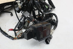 OEM Harley Davidson Main Wiring Harness 2005 Road King Blk/Red 70245-04