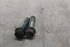 OIL PIPE MOUNTING BOLT (2) 96001-06016-00 1988 HONDA CBR1000F