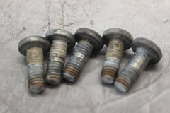 Rear Brake Disc Bolts (5) 43567-92 2001 H-D SOFTAIL DUECE FXSTD