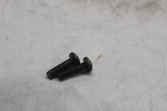 2590 MASTER CYLINDER SCREW (2) HARLEY DAVIDSON