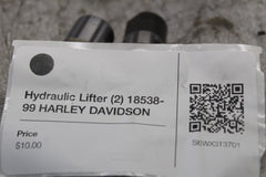 Hydraulic Lifter (2) 18538-99 HARLEY DAVIDSON