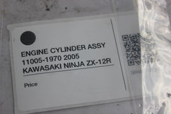ENGINE CYLINDER ASSY 11005-1970 2005 KAWASAKI NINJA ZX-12R