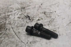 10500022 REAR MASTER SCREW HARLEY DAVIDSON