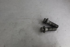 OEM Harley Davidson Front Caliper Mounting Screw Bolt (2) 44160-00