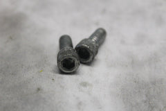 LOCKPLATE SCREW 2PCS 3594 2005 HD SOFTAIL DELUXE FLSTNI
