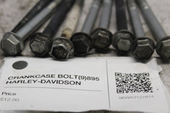 CRANKCASE BOLT (9) 895  HARLEY-DAVIDSON