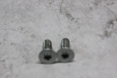 ANCHOR PLATE SCREW (2) 1783A 2001 H-D SOFTAIL DUECE FXSTD
