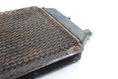 RADIATOR W/ SCREEN 39060-1164, 14037-1200 1996 KAWASAKI VN800