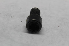 Fork Damper Screw (2) 49mm 45500118