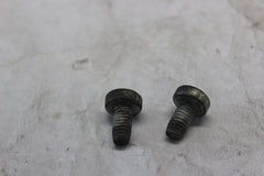 SADDLEBAG GUARD SCREW 2PCS 3676 2010 H-D ULTRA CLASSIC FLHTCU