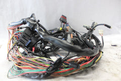 70245-06 ROAD KING MAIN WIRING HARNESS EFI HARLEY DAVIDSON