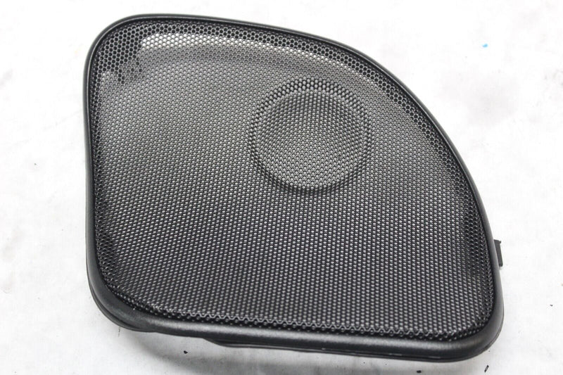 SPEAKER GRILLE W/GASKET RIGHT 76000879 2022 RG SPECIAL