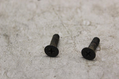 FRONT M.C. CAP SCREW 2PCS 92001-1055 1980 KAWASAKI KZ440