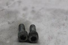 LOCKPLATE SCREW 2PCS 3594 2005 HD SOFTAIL DELUXE FLSTNI
