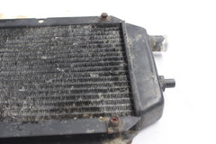 RADIATOR W/ SCREEN 39060-1164, 14037-1200 1996 KAWASAKI VN800