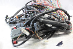 70245-06 ROAD KING MAIN WIRING HARNESS EFI HARLEY DAVIDSON