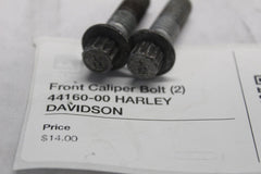 44160-00 Front Caliper Bolt (2) HARLEY DAVIDSON