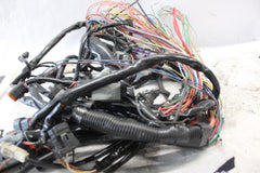 70245-06 ROAD KING MAIN WIRING HARNESS EFI HARLEY DAVIDSON
