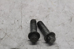 Front Caliper Bolt (2) 44160-00 HARLEY DAVIDSON