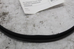 Air Cleaner Cover Seal HARLEY DAVIDSON 29000026