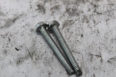 FORK CAN SCREW (2) 10200042 HARLEY DAVIDSON