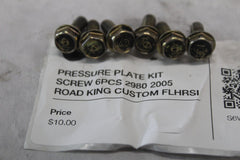 PRESSURE PLATE KIT SCREW 6PCS 2980 2005 ROAD KING CUSTOM FLHRSI