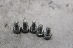 CLUTCH COVER SCREWS 5PCS 961 2005 ROAD KING CUSTOM FLHRSI