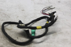 69200338 HARNESS, THROTTLE, JUMPER HARLEY DAVIDSON
