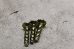 250000949 CANISTER HOLDER SCREW 3PCS 2023 CAN AM RYKER SPORT 900 ACE