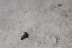 HEADLAMP DOOR SCREW 10200156  2019 HD ULTRA LIMITED LOW