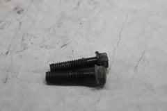 LEFT REAR COVER SCREW (2) 96001-06025-07  1998 HONDA CBR900RR